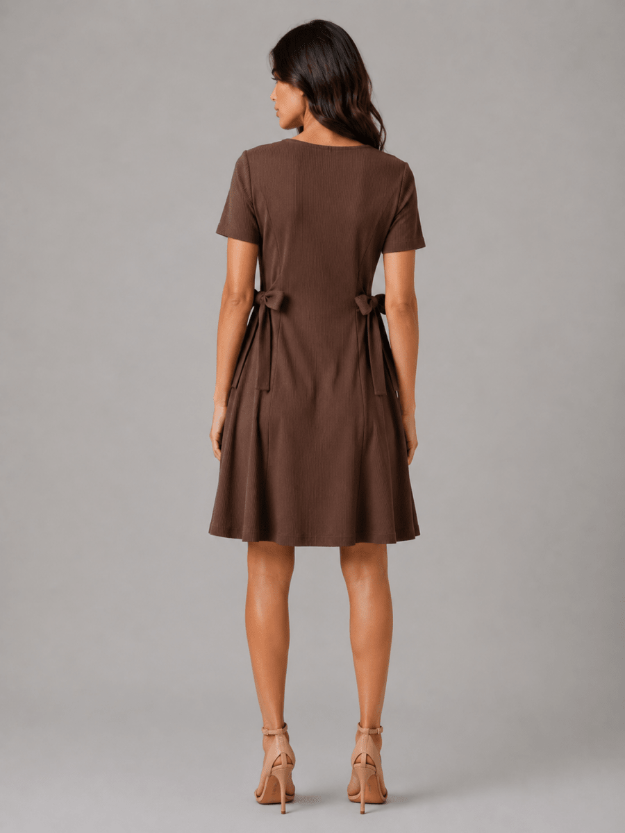 The Everyday A-Line Dress with sleeve: Brown - Shop For Asha